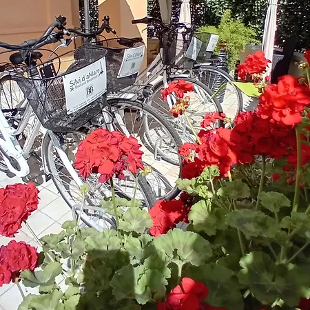 Silvi D'amare Bed & Breakfast 3*